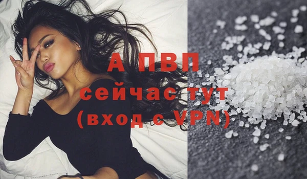 соль ск Сосновоборск