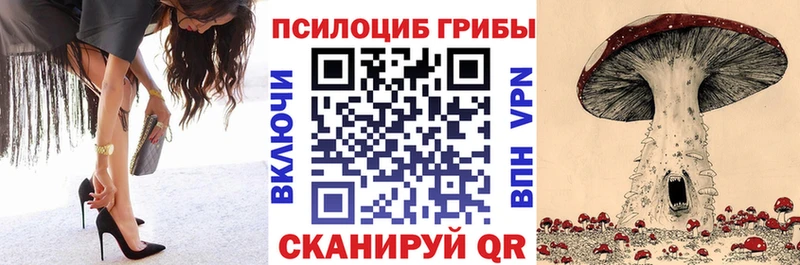 Псилоцибиновые грибы GOLDEN TEACHER  Белая Холуница 