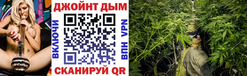 Канабис сатива  Белая Холуница 